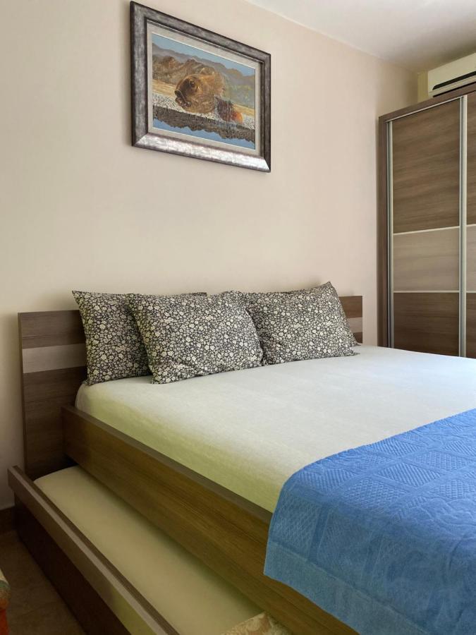 Apartments Lalevic Долни Морин Екстериор снимка